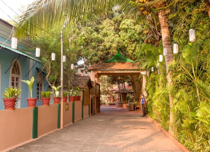 Cảnh ngoài trời Ảnh