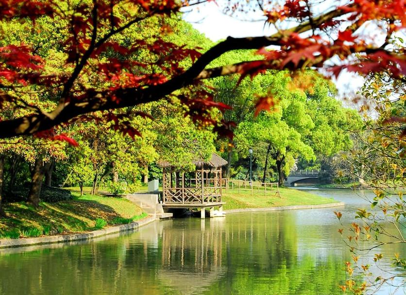 Cảnh ngoài trời Ảnh