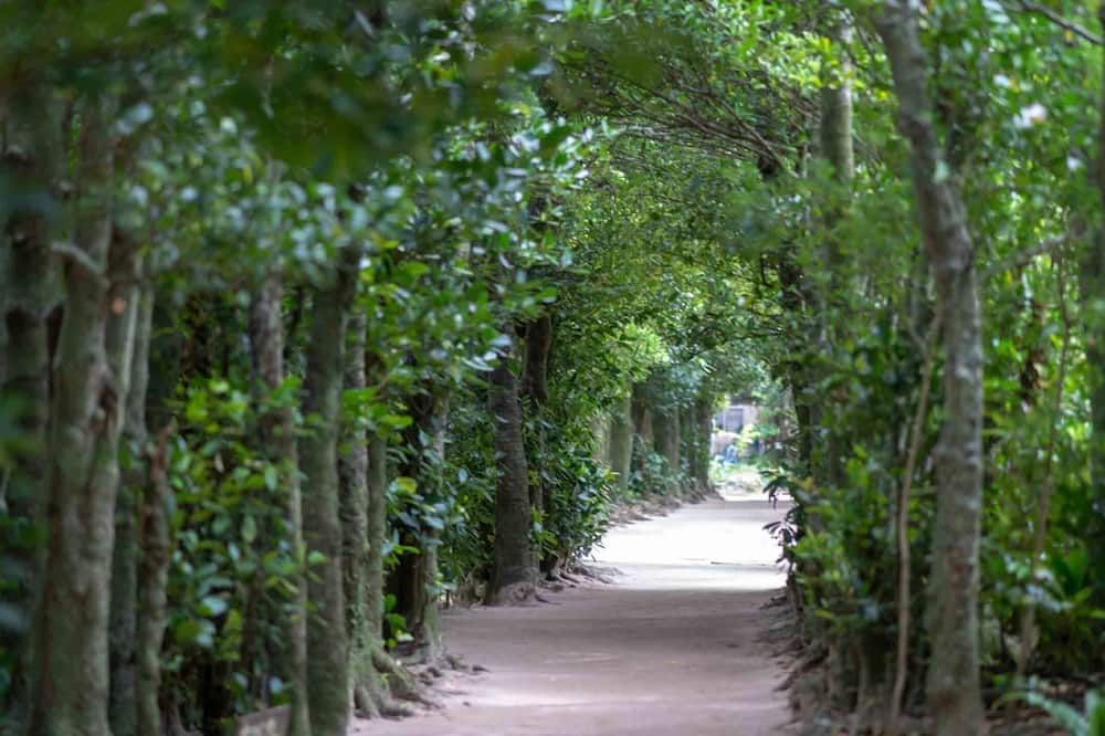 Cảnh ngoài trời