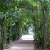 Cảnh ngoài trời