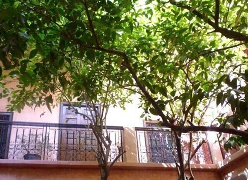 Cảnh ngoài trời Ảnh