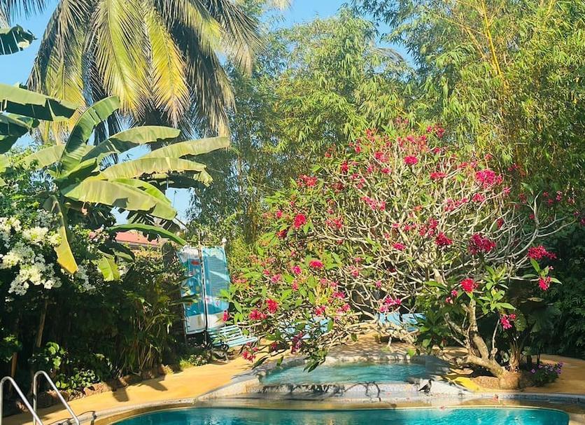 Cảnh ngoài trời Ảnh