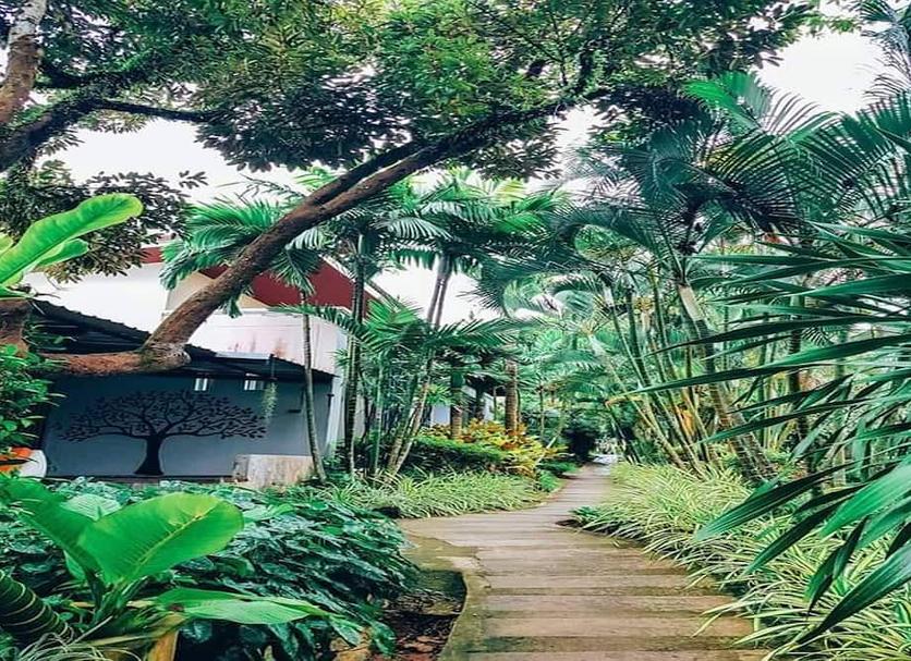 Cảnh ngoài trời Ảnh
