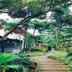 Cảnh ngoài trời