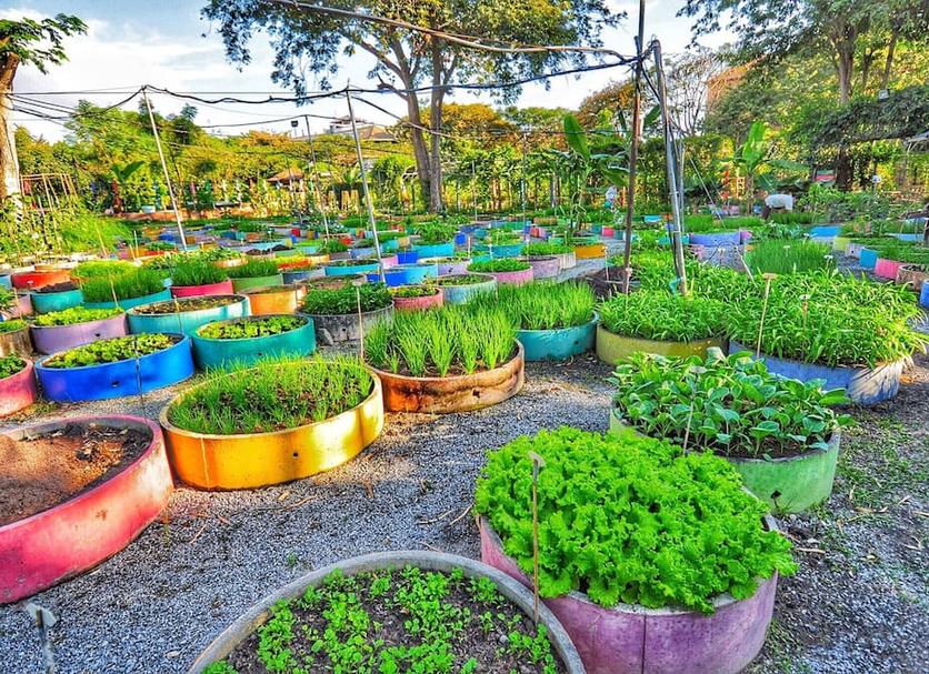 Cảnh ngoài trời Ảnh