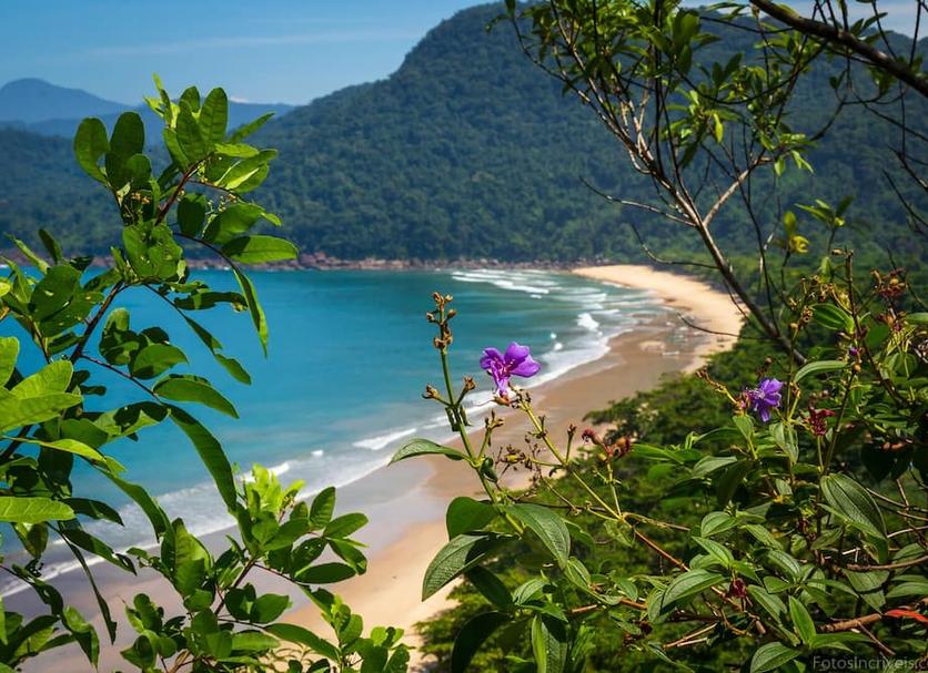 Bãi biển Ảnh