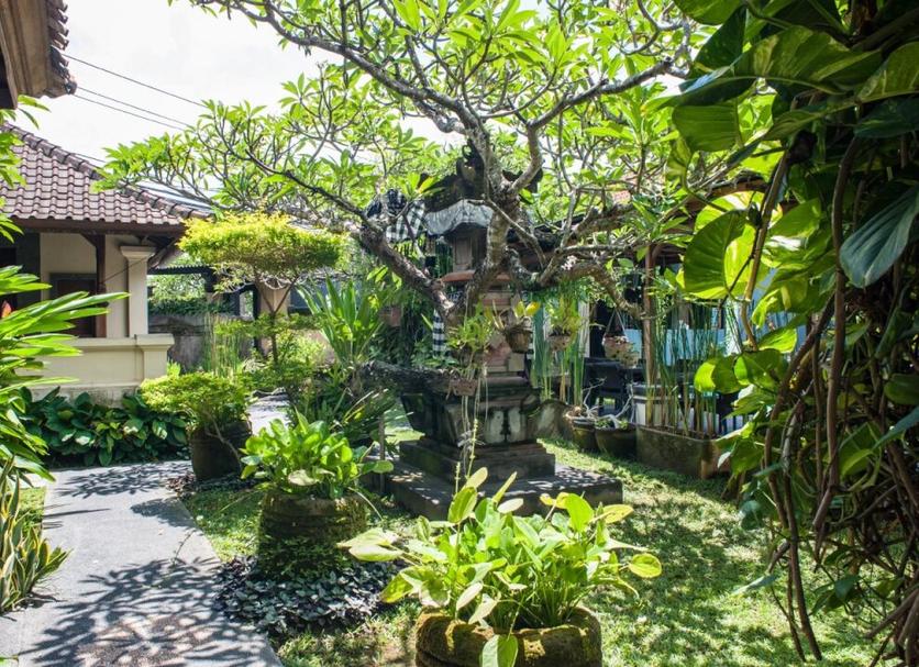 Cảnh ngoài trời Ảnh