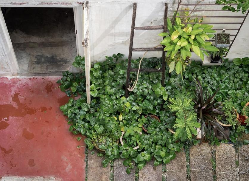 Cảnh ngoài trời Ảnh