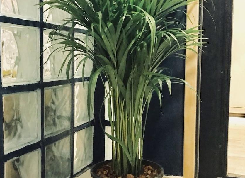 Cảnh ngoài trời Ảnh
