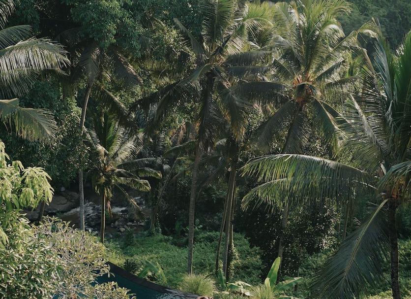Cảnh ngoài trời Ảnh