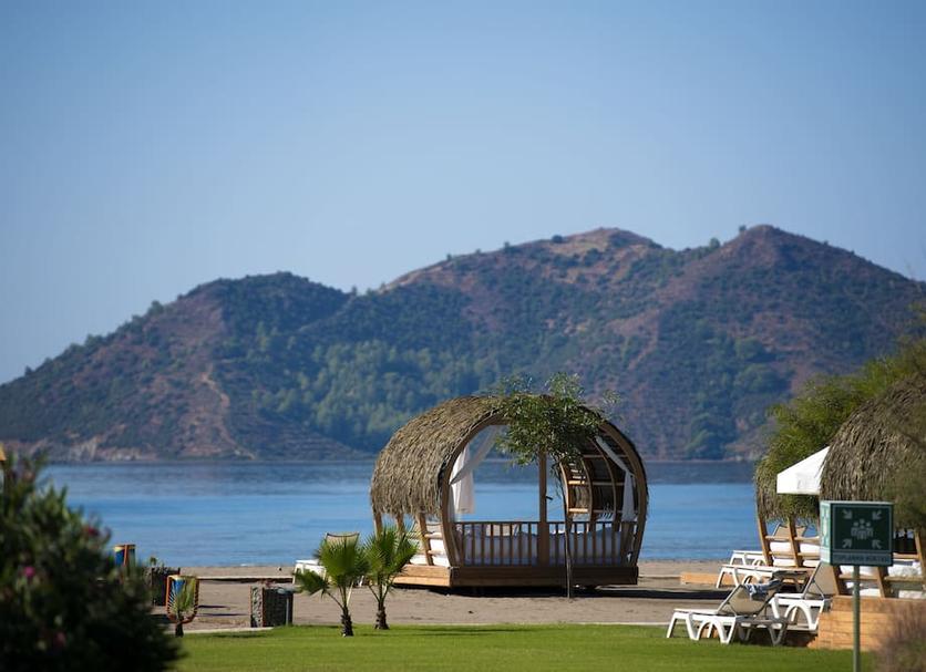 Khác Ảnh