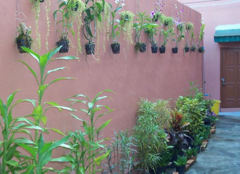 Cảnh ngoài trời Ảnh