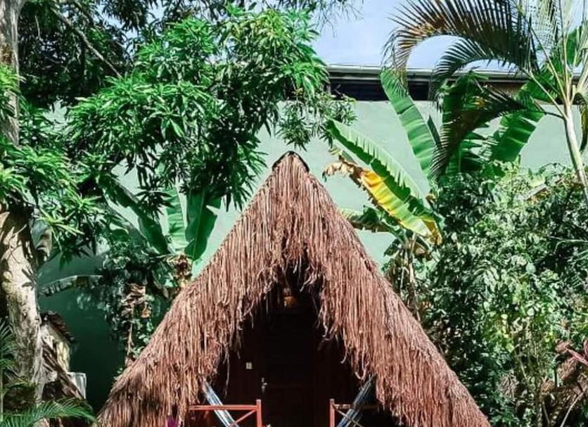 Cảnh ngoài trời Ảnh