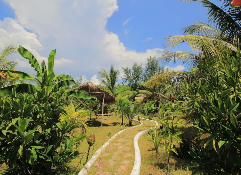 Cảnh ngoài trời Ảnh