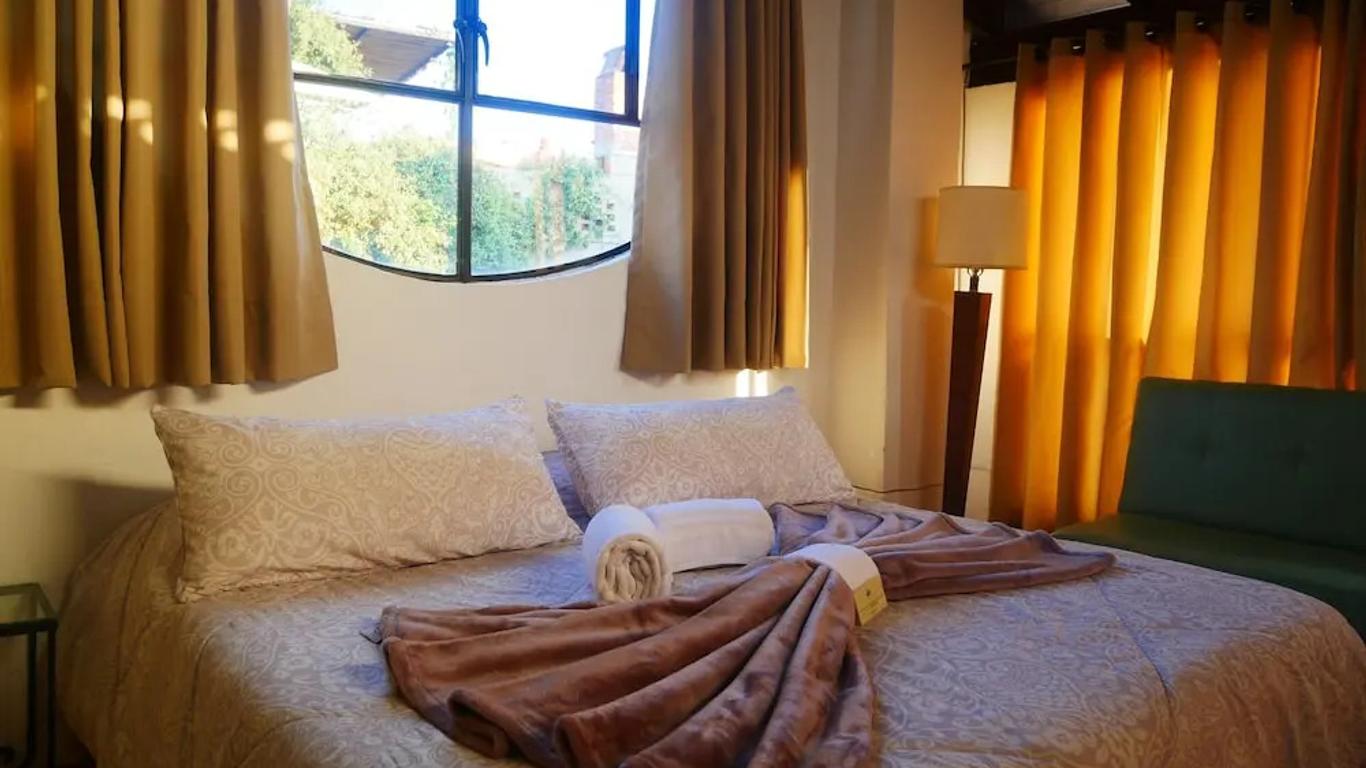 Casa De Las Conservas Gold