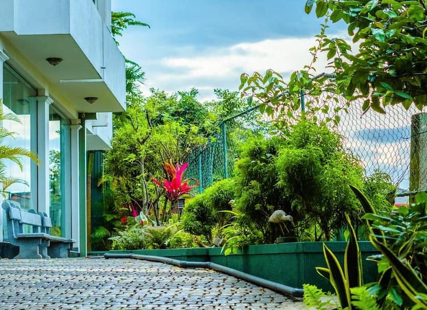 Cảnh ngoài trời Ảnh