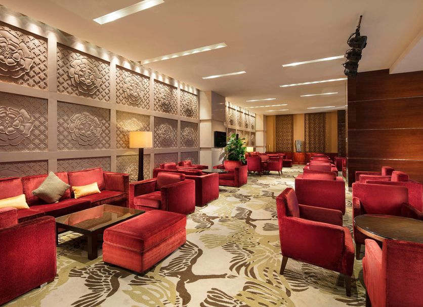 Lounge Ảnh
