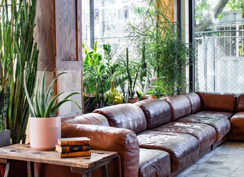 Lounge Ảnh