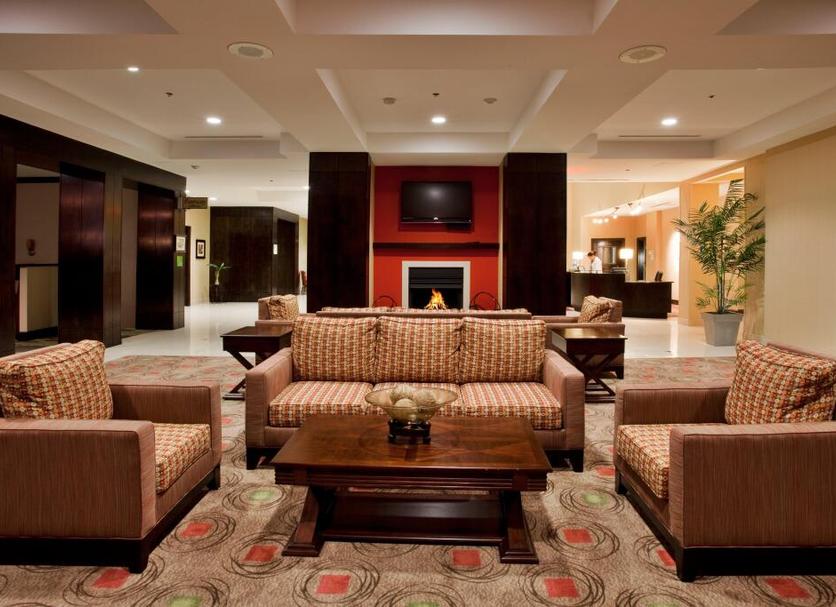 Lounge Ảnh