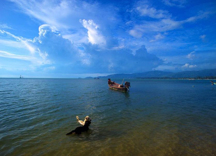 Khác Ảnh