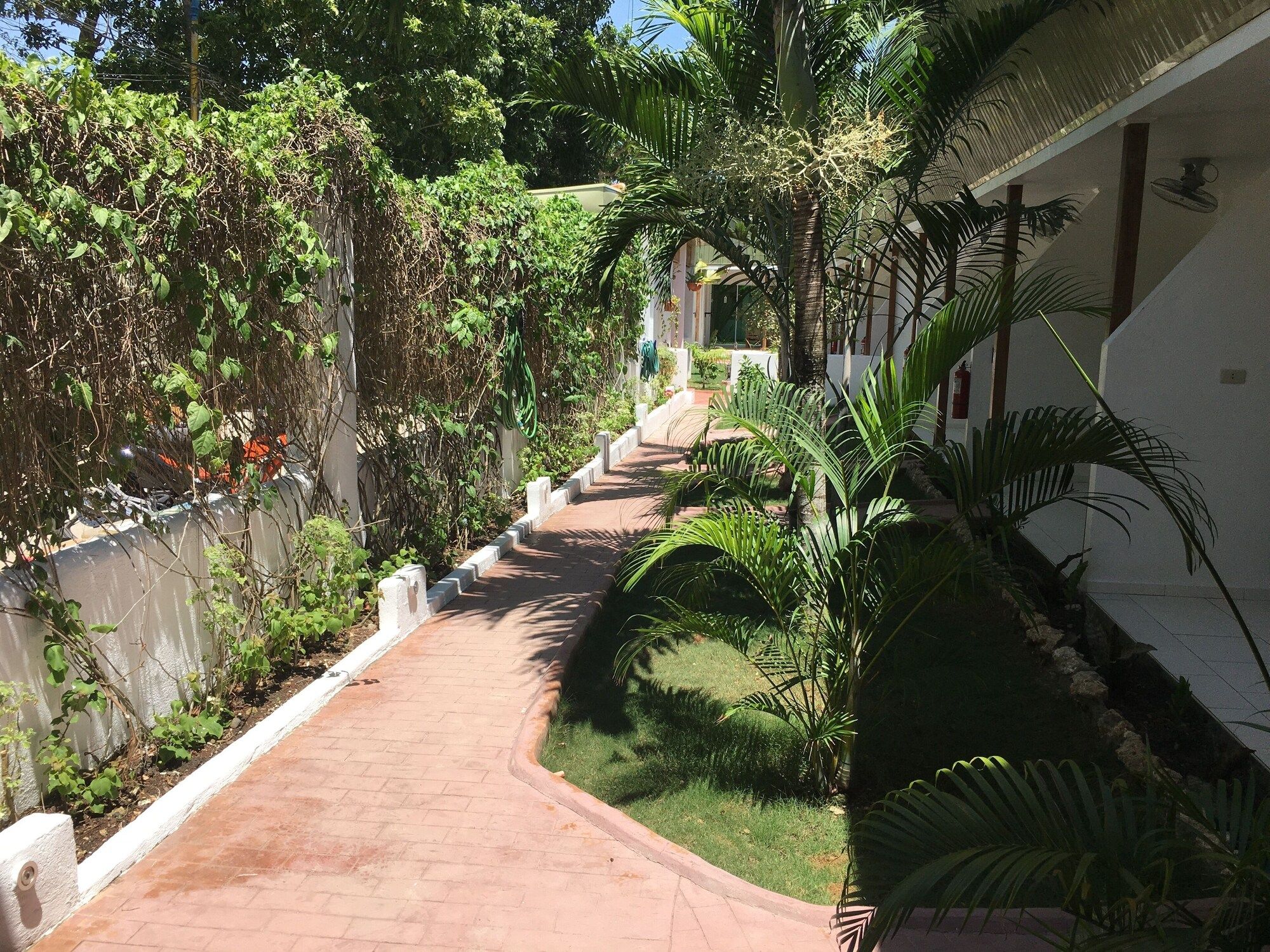 Cảnh ngoài trời Ảnh