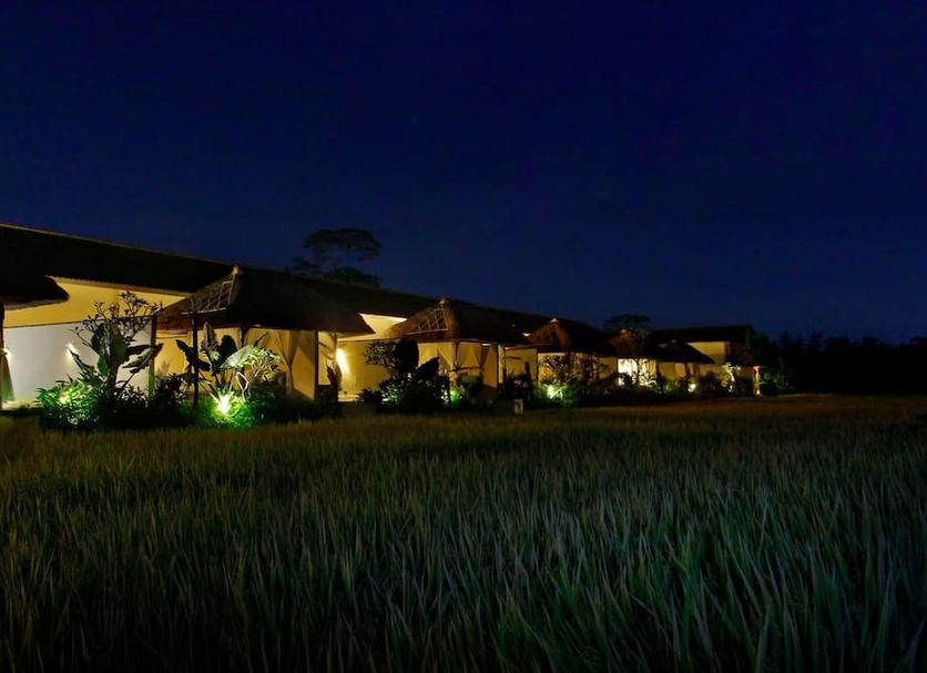 Cảnh ngoài trời Ảnh