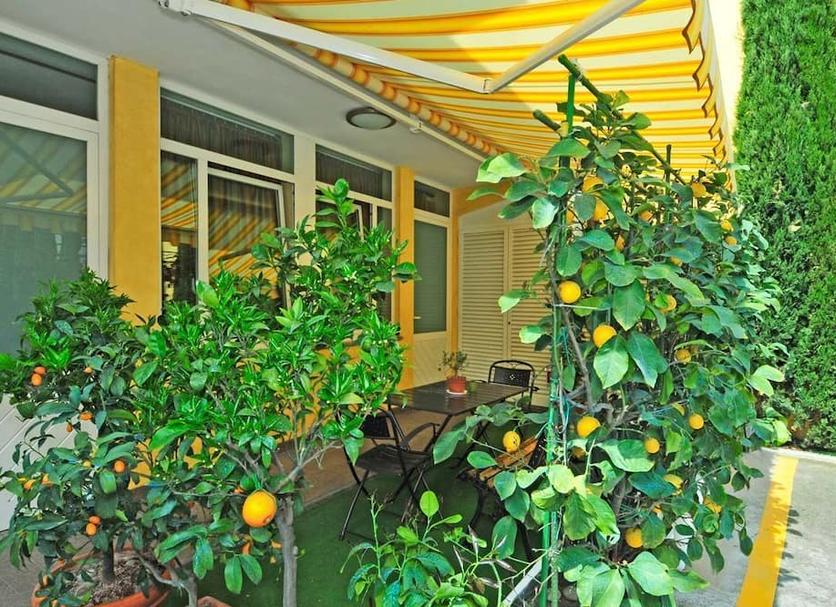Cảnh ngoài trời Ảnh