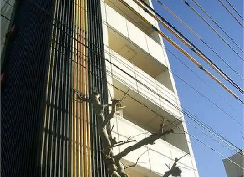 Khác Ảnh