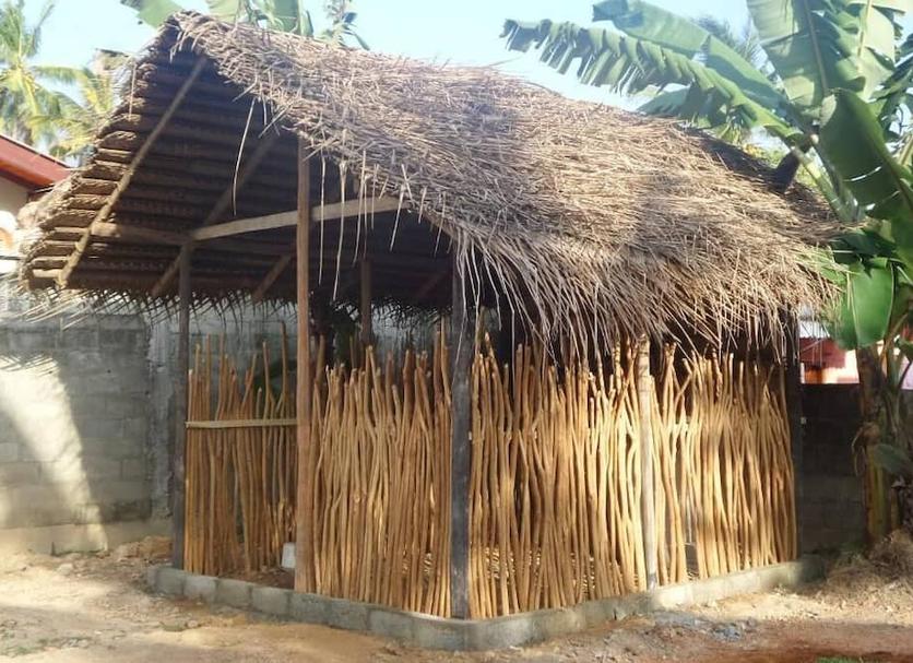 Cảnh ngoài trời Ảnh