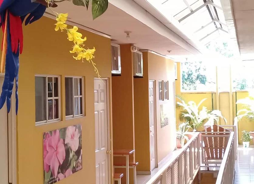 Cảnh ngoài trời Ảnh