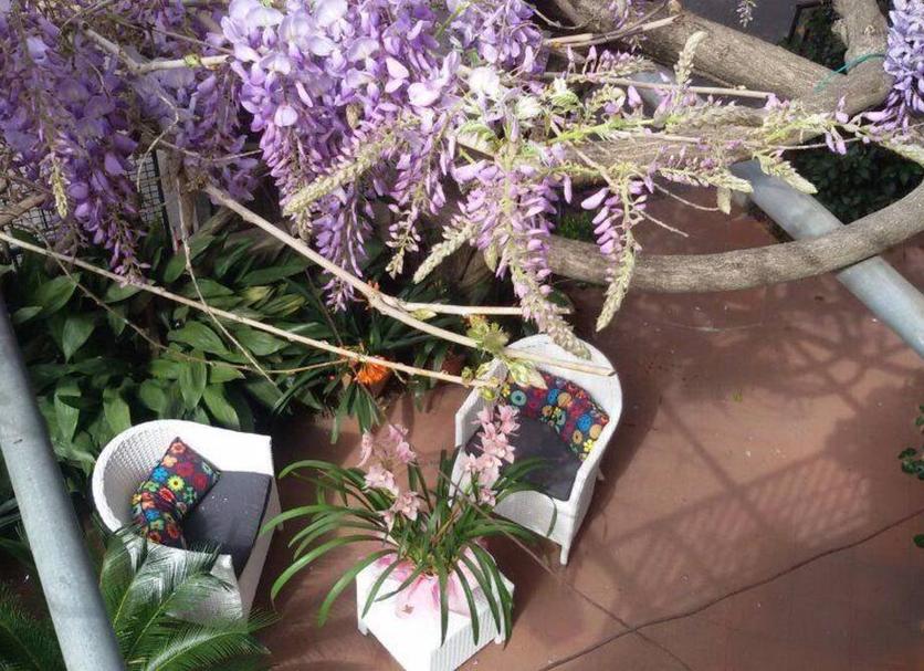 Cảnh ngoài trời Ảnh