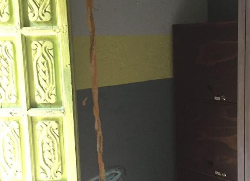 Tiện nghi trong phòng Ảnh