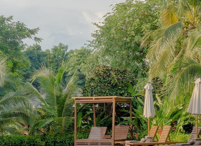 Cảnh ngoài trời Ảnh