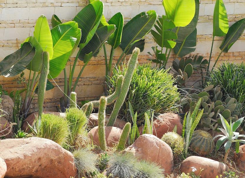 Cảnh ngoài trời Ảnh