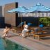 Bể bơi
