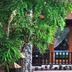 Cảnh ngoài trời