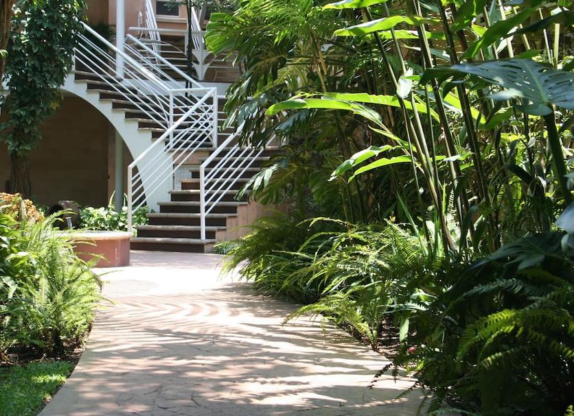 Cảnh ngoài trời Ảnh