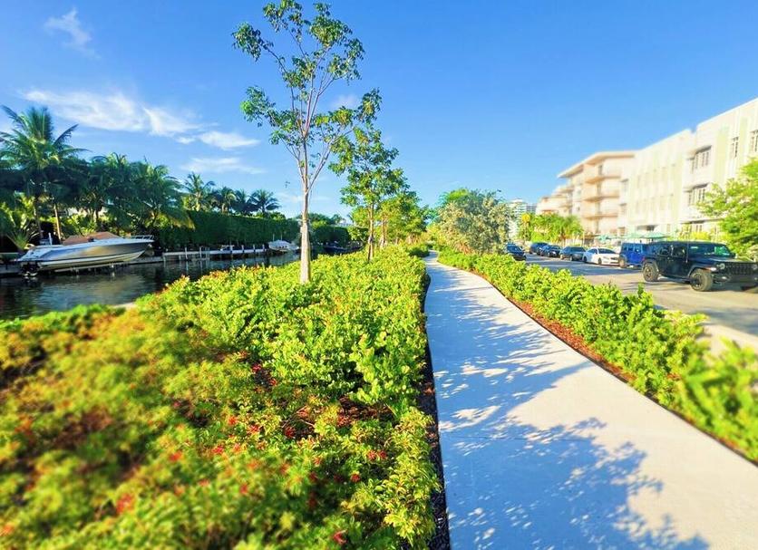 Cảnh ngoài trời Ảnh