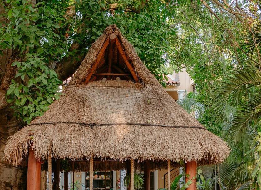 Cảnh ngoài trời Ảnh