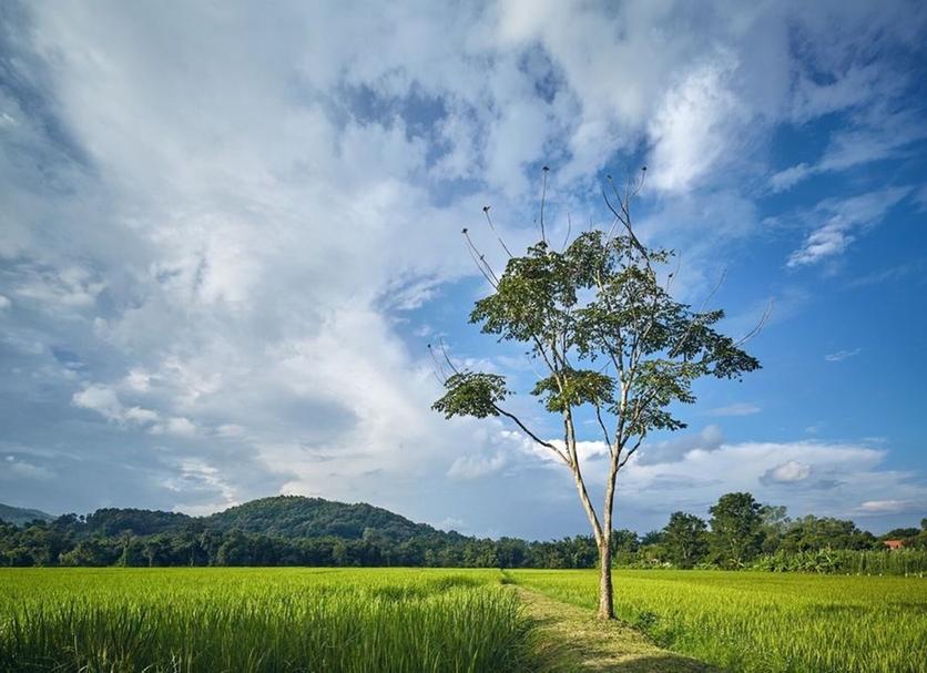 Cảnh ngoài trời Ảnh