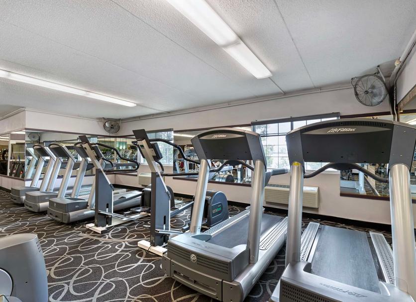 Gym Ảnh
