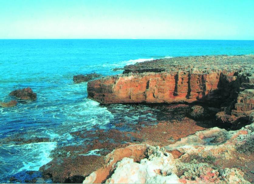 Khác Ảnh
