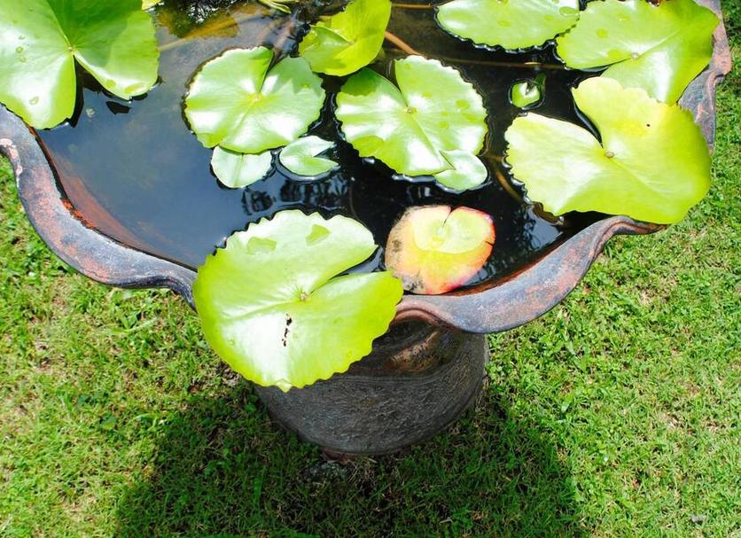 Khác Ảnh