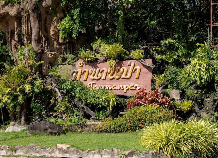 Cảnh ngoài trời Ảnh