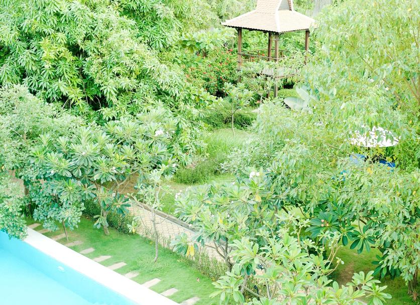 Cảnh ngoài trời Ảnh