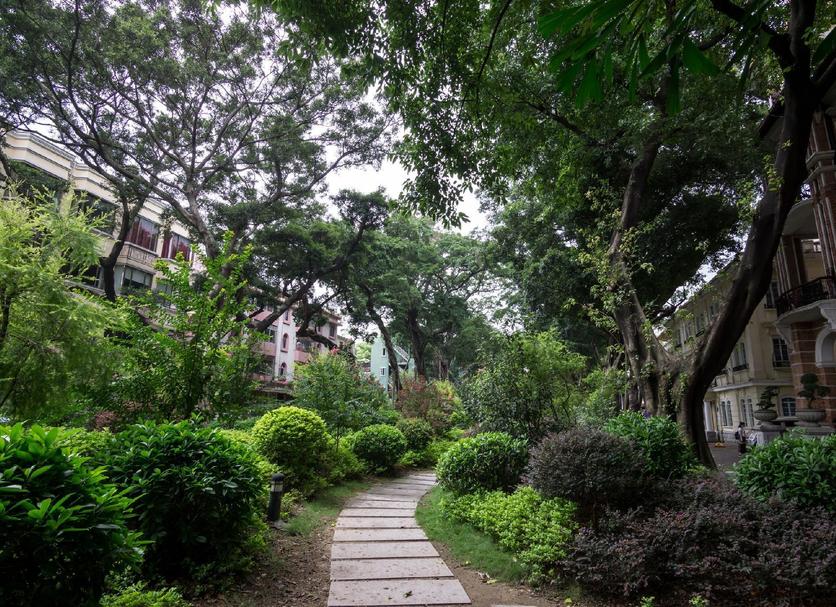 Cảnh ngoài trời Ảnh