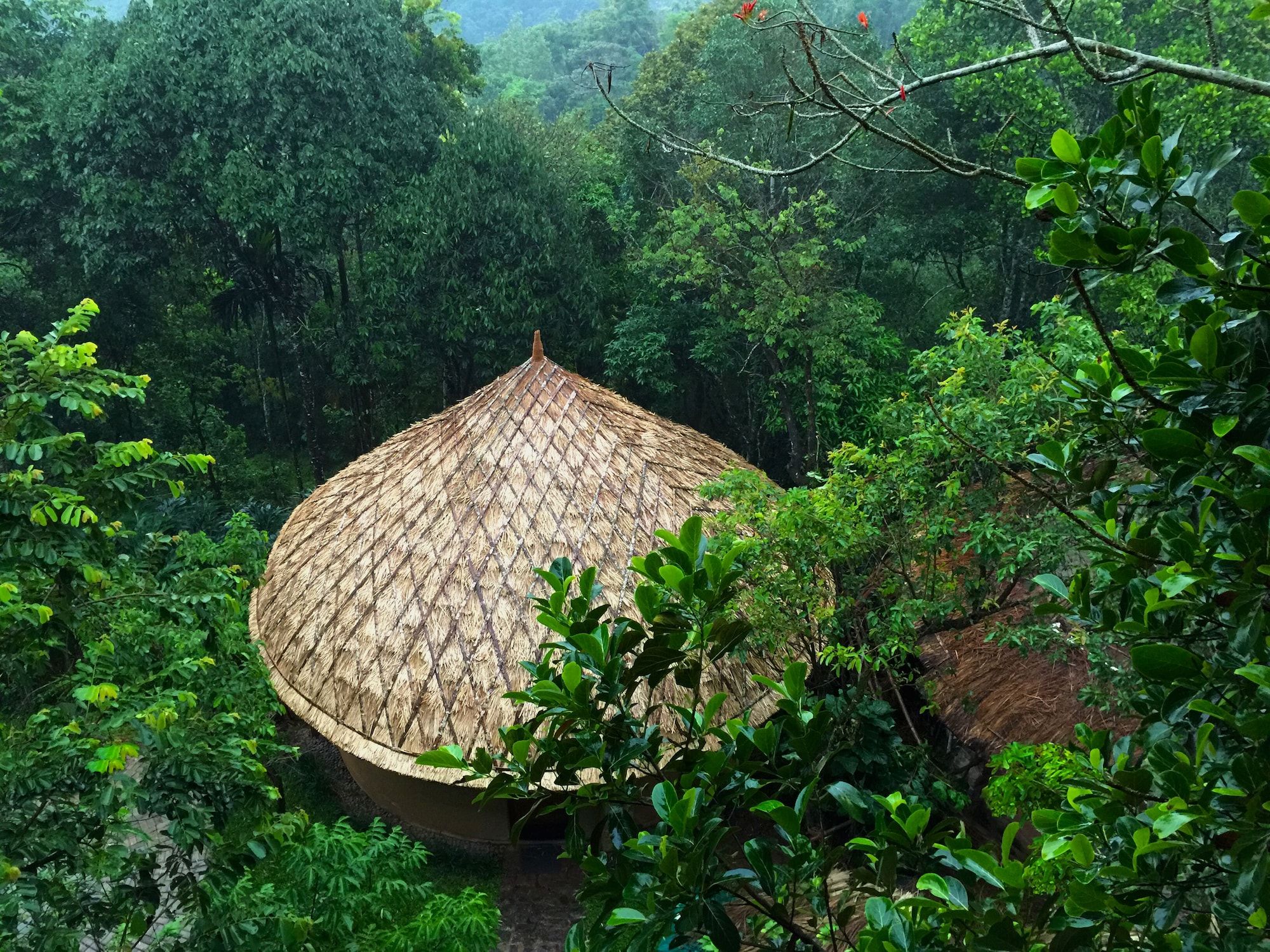 Cảnh ngoài trời