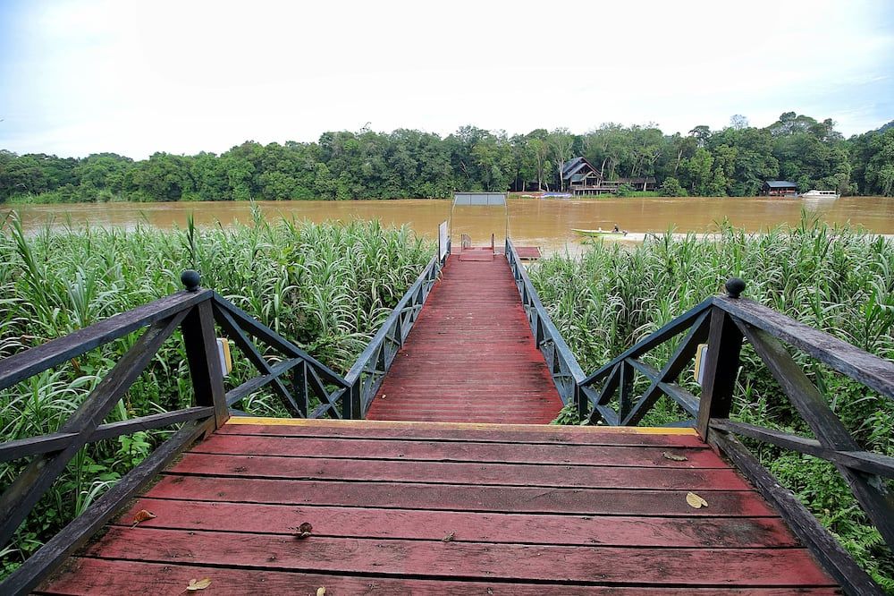 Cảnh ngoài trời