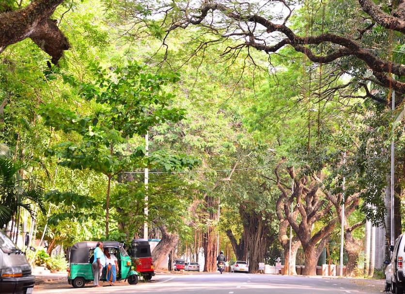 Cảnh ngoài trời Ảnh