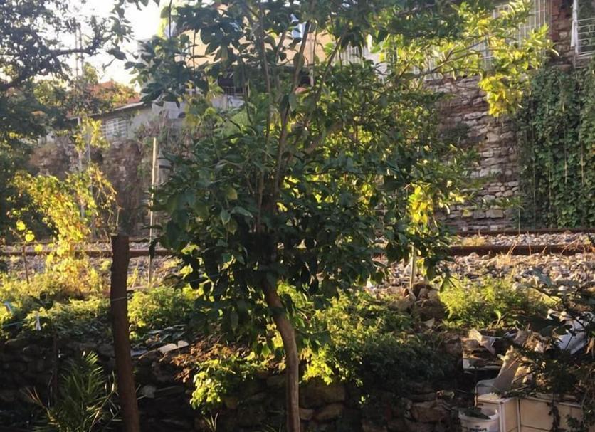 Cảnh ngoài trời Ảnh